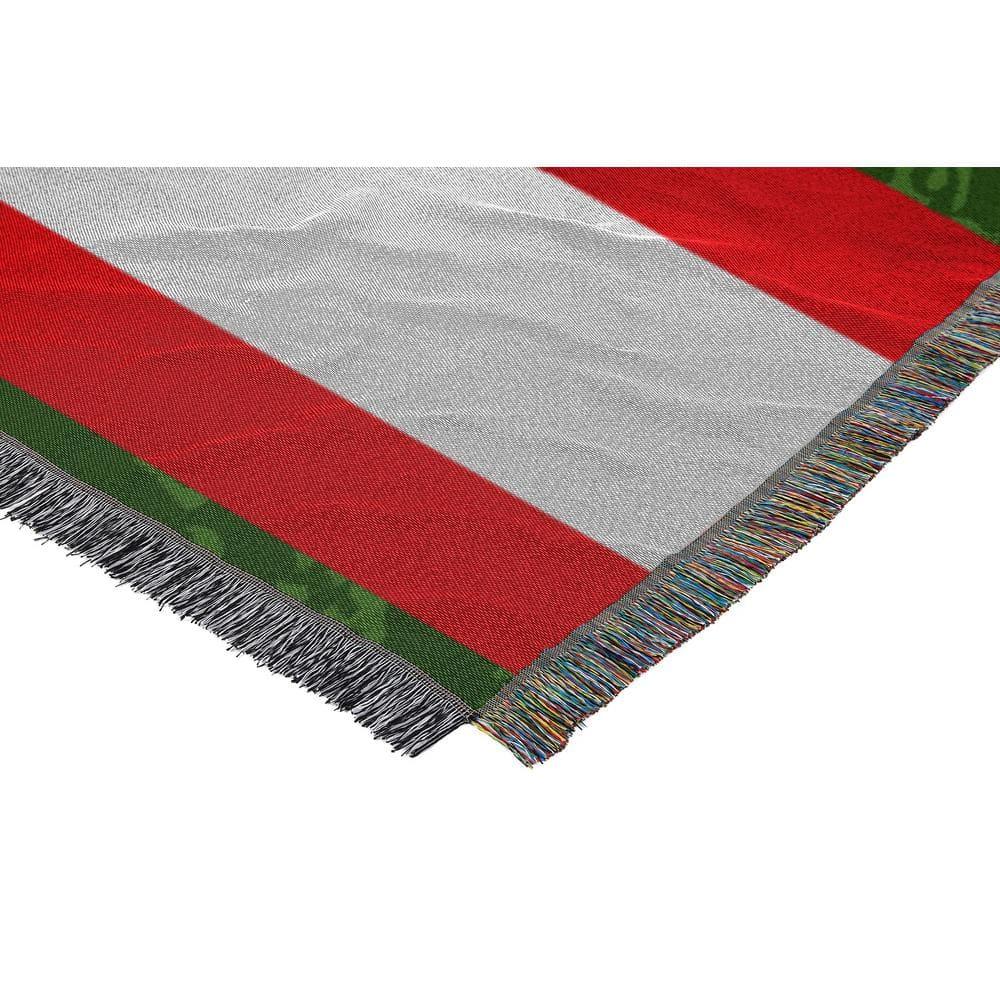 Northwest NFL Buffalo Bills Throw Blanket, Vintage Football Fan Decor, 48x60 Inches