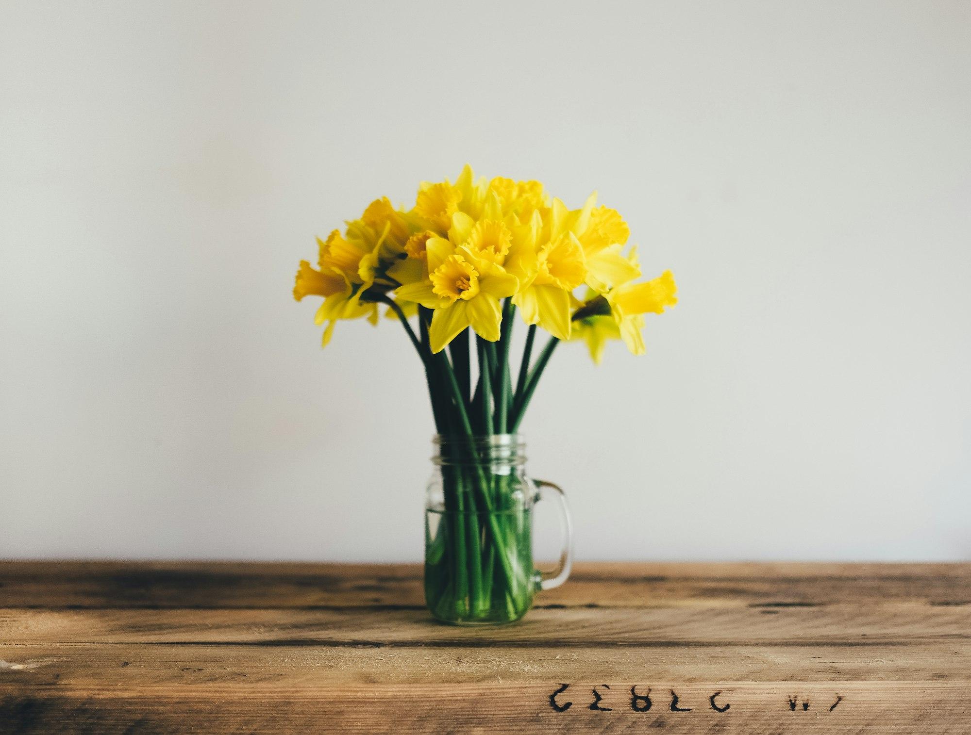 Dandelions in a Mason jar drinking glass with a handle