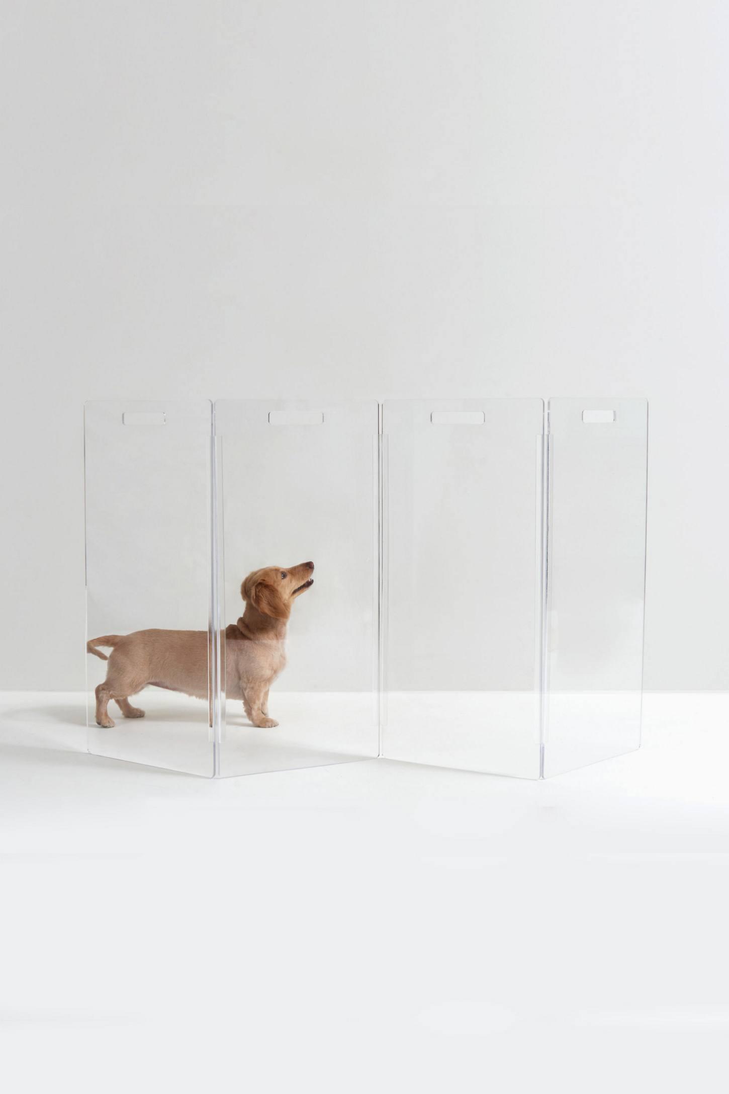 Clear Freestanding Zig Zag Pet Gate