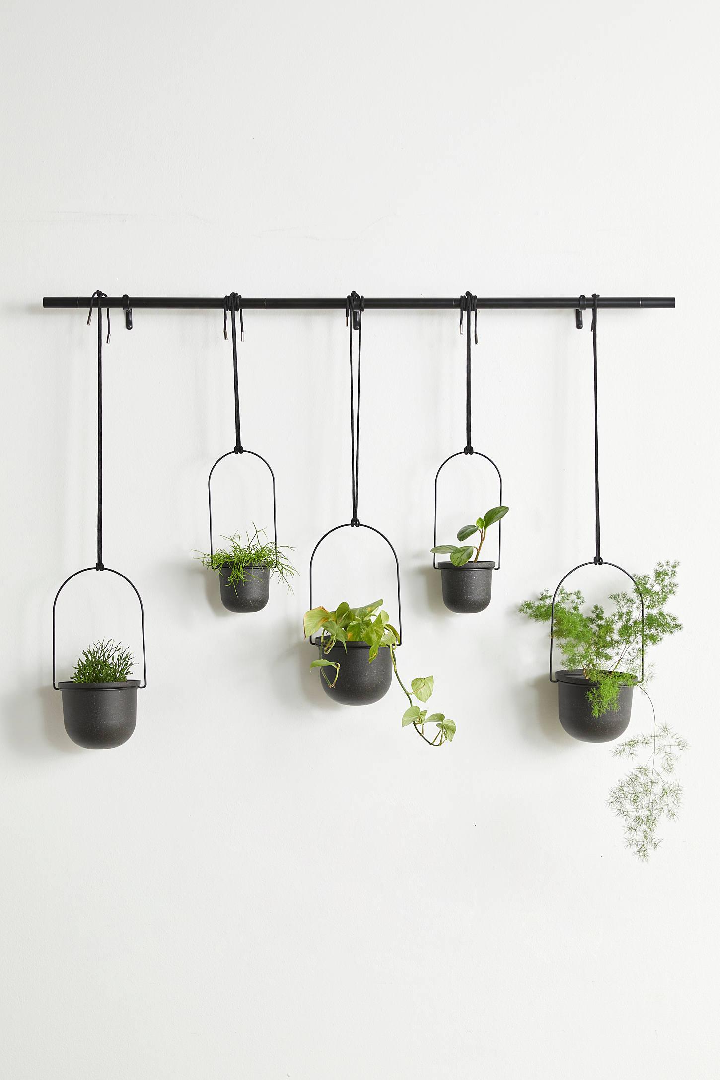 Triflora Large Hanging Planter