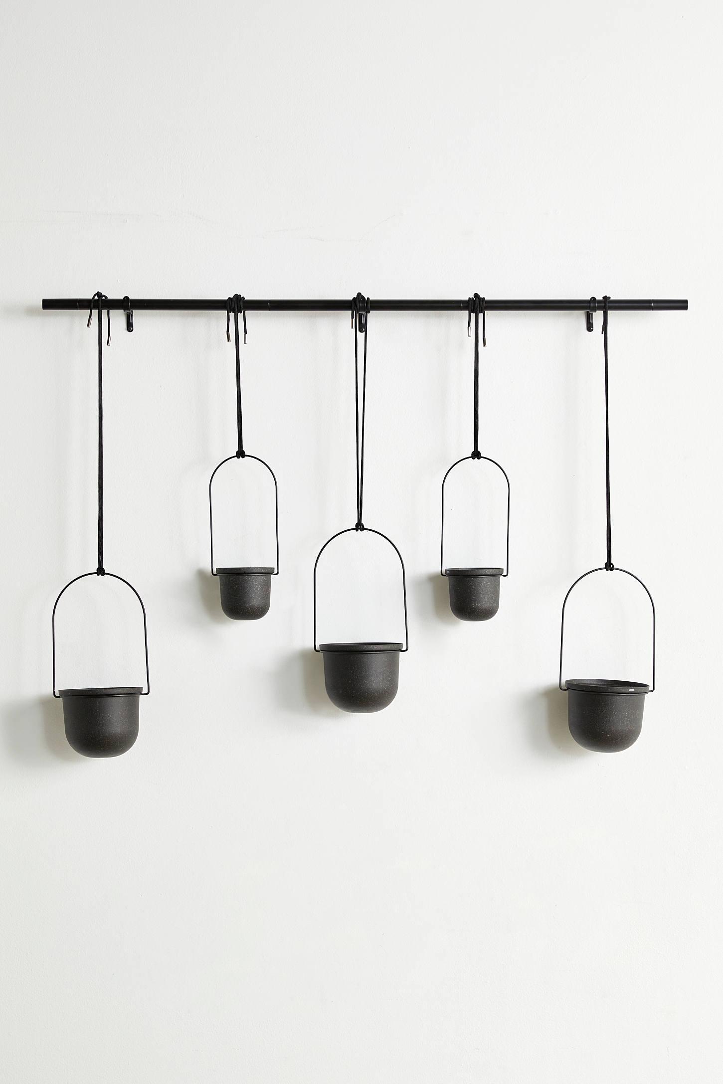 Triflora Large Hanging Planter