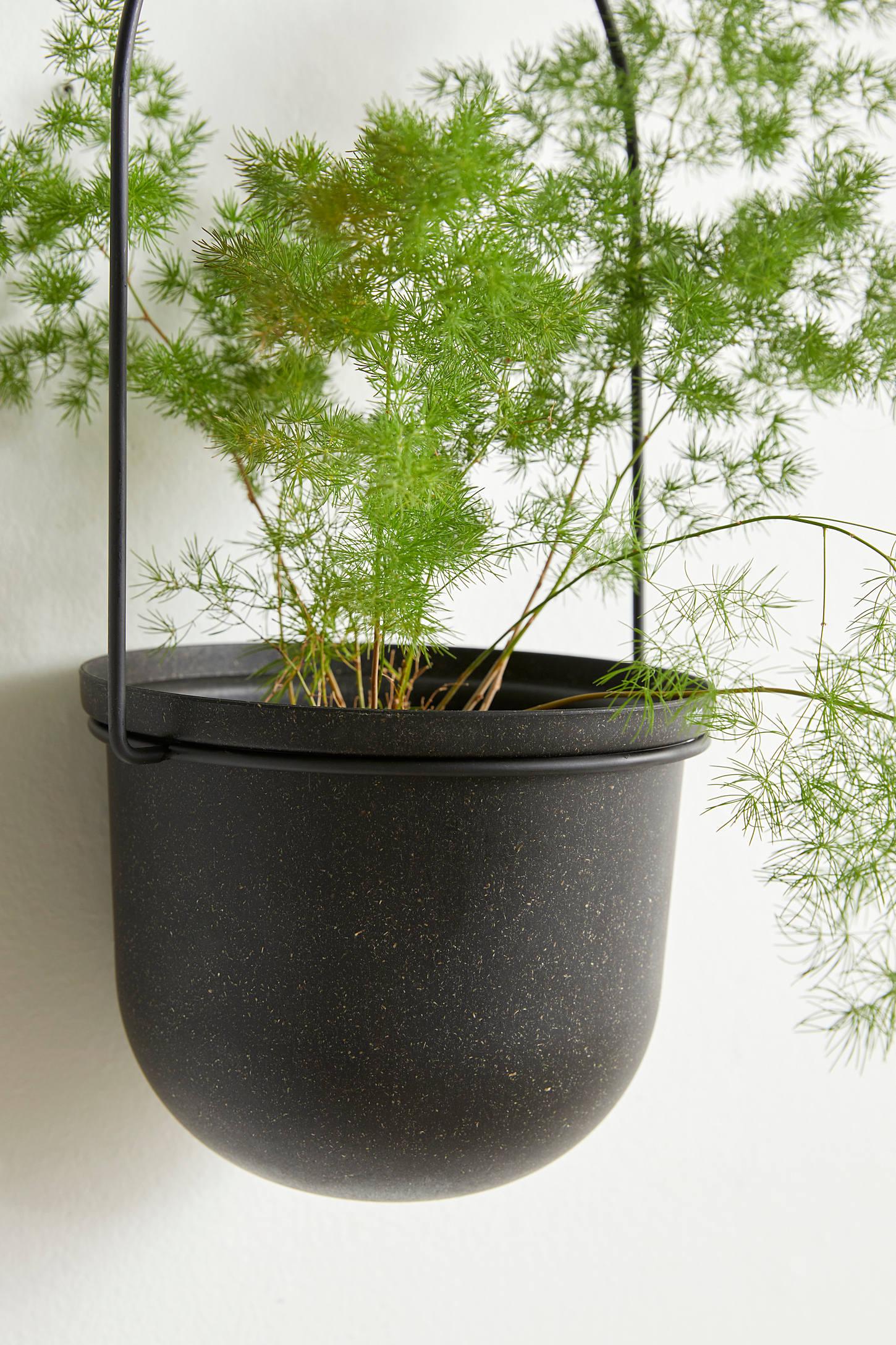 Triflora Large Hanging Planter
