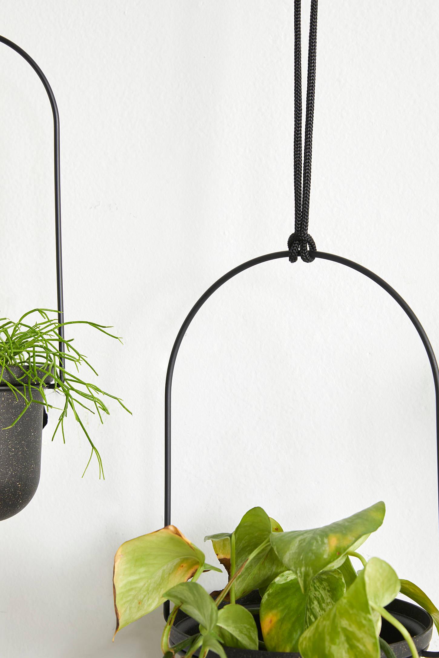 Triflora Large Hanging Planter