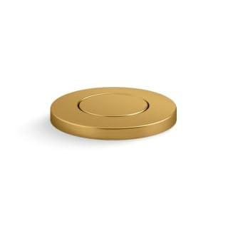 Garbage Disposal Air Switch Kit