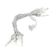 Novelty Lights 10 Light T5 LED Christmas Mini Light Set, Outdoor Lighting Party Patio String Lights, Warm White, White Wire, 11 Feet