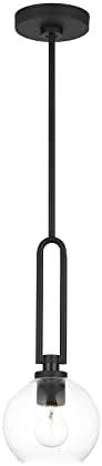 Codyn 1-Light Midnight Black Statement Mini Pendant Light with Clear Glass Shade