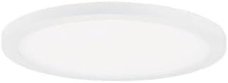 5 in. Chip White LED Flush Mount Ceiling Light