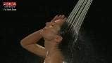 Universal Showering Components 2.5 GPM Shower Head