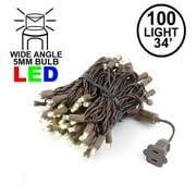 Novelty Lights Warm White 100 LED Christmas Mini Light Set (Brown Wire, 34 Feet)