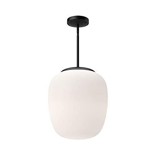 Holden Single Light Glass Steel Pendant