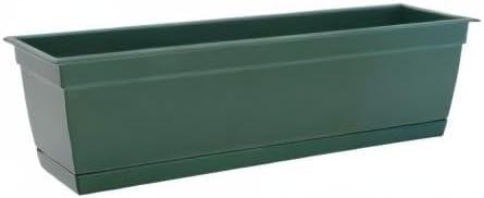 Bloem Dayton 6.87 in. H X 24 in. W Plastic Ocean Series Window Box Turtle Green