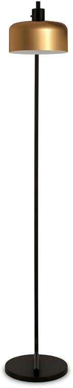 Evelyn&Zoe Cadmus 57" Tall Floor Lamp with Metal shade in Blackened Bronze/Brass/Brass