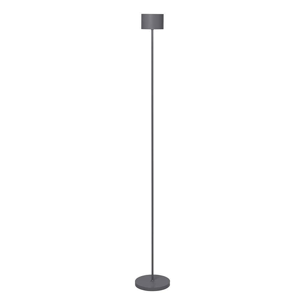 FAROL 45.28'' Mobile Rechargeable LED Floor Lamp