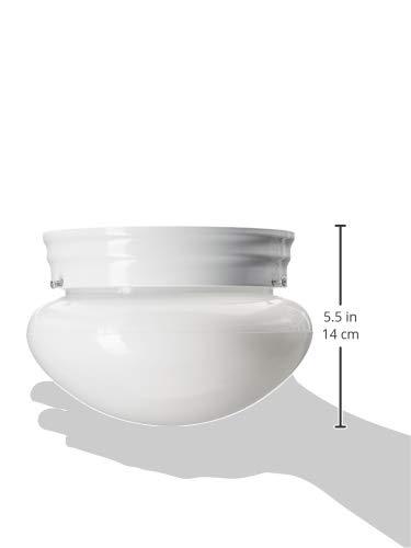 Webster 1-Light White Flush Mount with LED Bulb