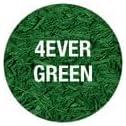 EnviroColor 4 Ever Green Grass Paint Gallon Treats 4,000 Ft², Treatment for Grass and Turf