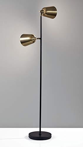 Matte Black and Antique Brass Dual-Head Adjustable Floor Lamp