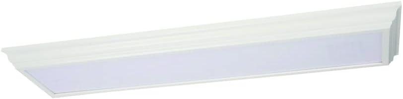 Lithonia Lighting LED Cambridge FMFL Linear Low Profile Flush Mount Fixture