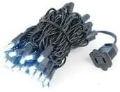 Novelty Lights 50 Light Pure White LED Christmas Mini Light Set (Black Wire, 11 Feet)