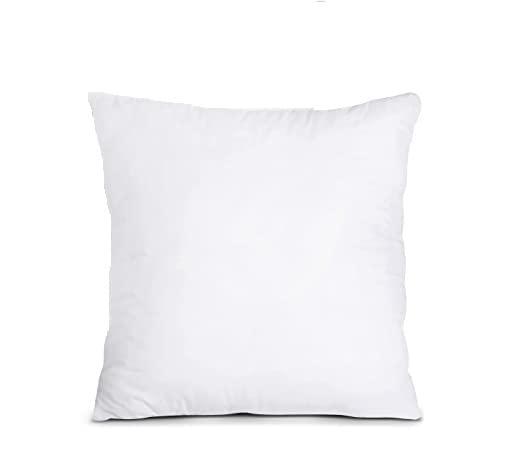 THROW PILLOW, SOFA PILLOW, OUT DOOR PILLOW, COUCH PILLOW, BEDDING PILLOW Inserts (Set of 2, White), 18x18 Inches - Lightweight Fillers for Sofa, Bed, and Home Décor (18x18 Inch (Pack of 2)