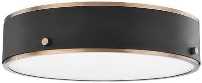 Oslo Flush Mount Light - Brass and Black / 16" Dia