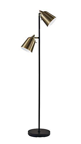 Matte Black and Antique Brass Dual-Head Adjustable Floor Lamp