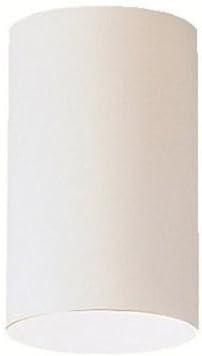 Kichler Lighting - One Light Outdoor Ceiling Mount - Outdoor Flush & Semi Flush