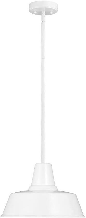 Fisher Outdoor Pendant Light - White / 14" Dia