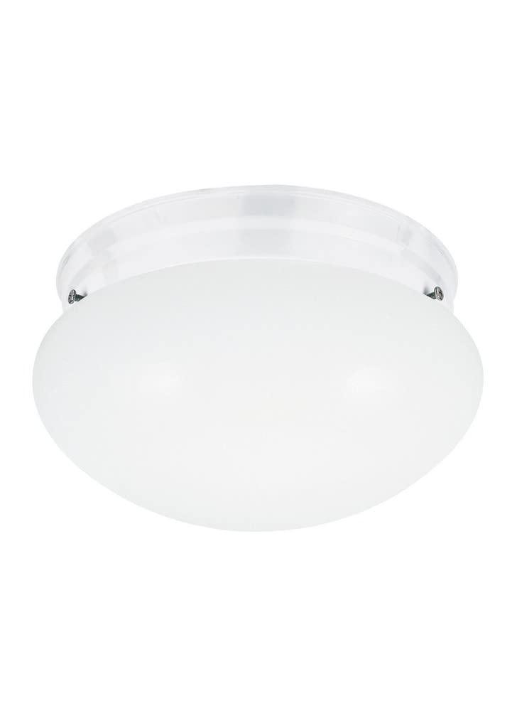 Webster 1-Light White Flush Mount with LED Bulb