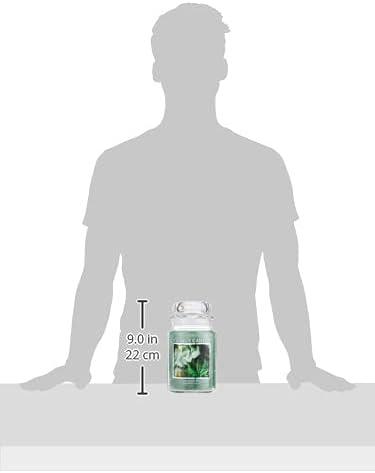 Village Candle Eucalyptus Mint, Large Glass Apothecary Jar Scented Candle, 21.25 oz, Green