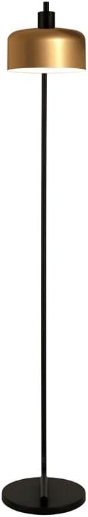 Evelyn&Zoe Cadmus 57" Tall Floor Lamp with Metal shade in Blackened Bronze/Brass/Brass