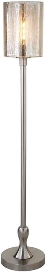 Evelyn&Zoe Numit 68.75" Tall Floor Lamp with Glass Shade, Brushed Nickel/Mercury Glass