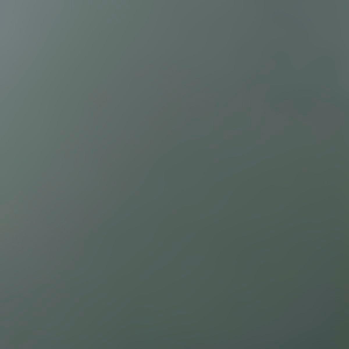 Arrow Arrow 9 x 24 ft Charcoal Two Sided Steel Carport Enclosure