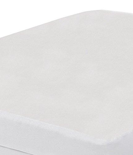 All-in-One Bed Bug Blocker Water Resistant Zippered Mattress Protector, Twin