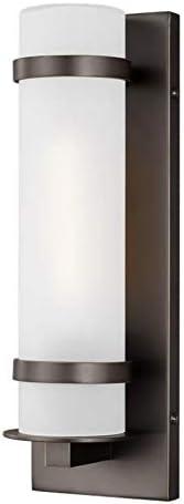 Alban Antique Bronze 1-Light Outdoor Sconce with Etched Opal Glass Shade
