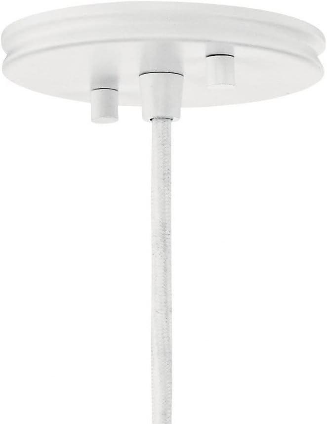 Danika 9.25" 1 Light Pendant with White finish and Wood Accents