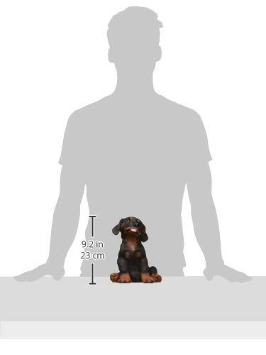 Design Toscano Rotweiler Puppy Dog Figurine & Reviews | Wayfair