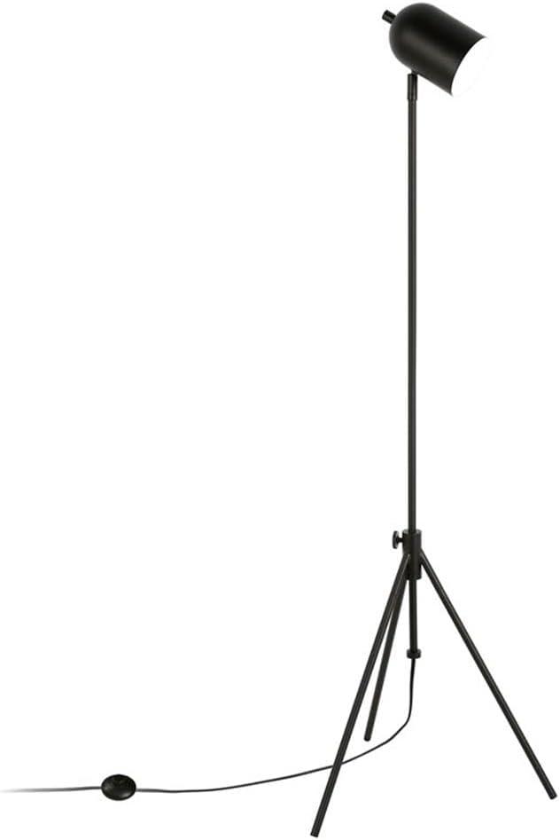 Modern Metal 56" Tripod Floor Lamp