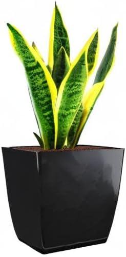 HC HCASP12000G18 12 in. Square Aria Planter, Black