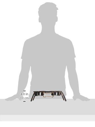 Loving Pets Pint Rustic Bone Diner for Dogs, 1.0 CT