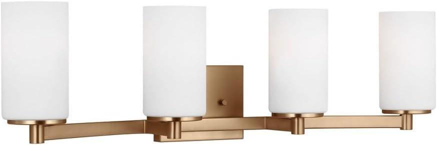 Midnight Black 29" Vanity Light with Etched Glass Shades