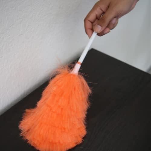 Ettore Statica Polystatic Duster with Handle