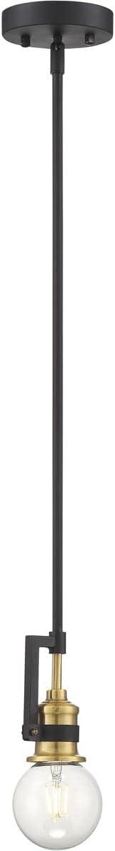Matte Black and Brass Glass Mini Pendant Light