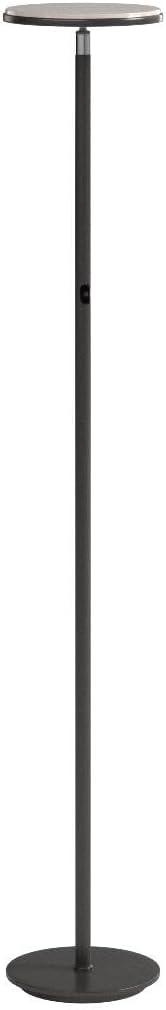 Brightech Sky Industrial 63 in. Dimmable LED Floor Lamp with Adjustable Head