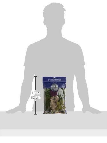 Super Moss SuperMoss Preserved Moss Mix, Mixed Colors, Approx. 2oz | Wayfair