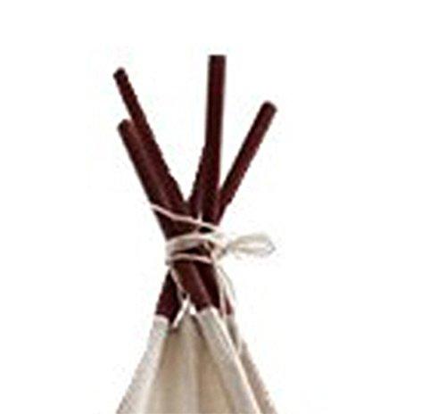 Miyaya Large Canvas Teepee Play Tent Indian Play Tent with Carry Case,5 Poles Design (White)