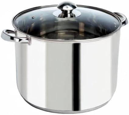 Ecolution Pure Intentions Stainless Steel Stock Pot with Lid, 8 Quart, Polished