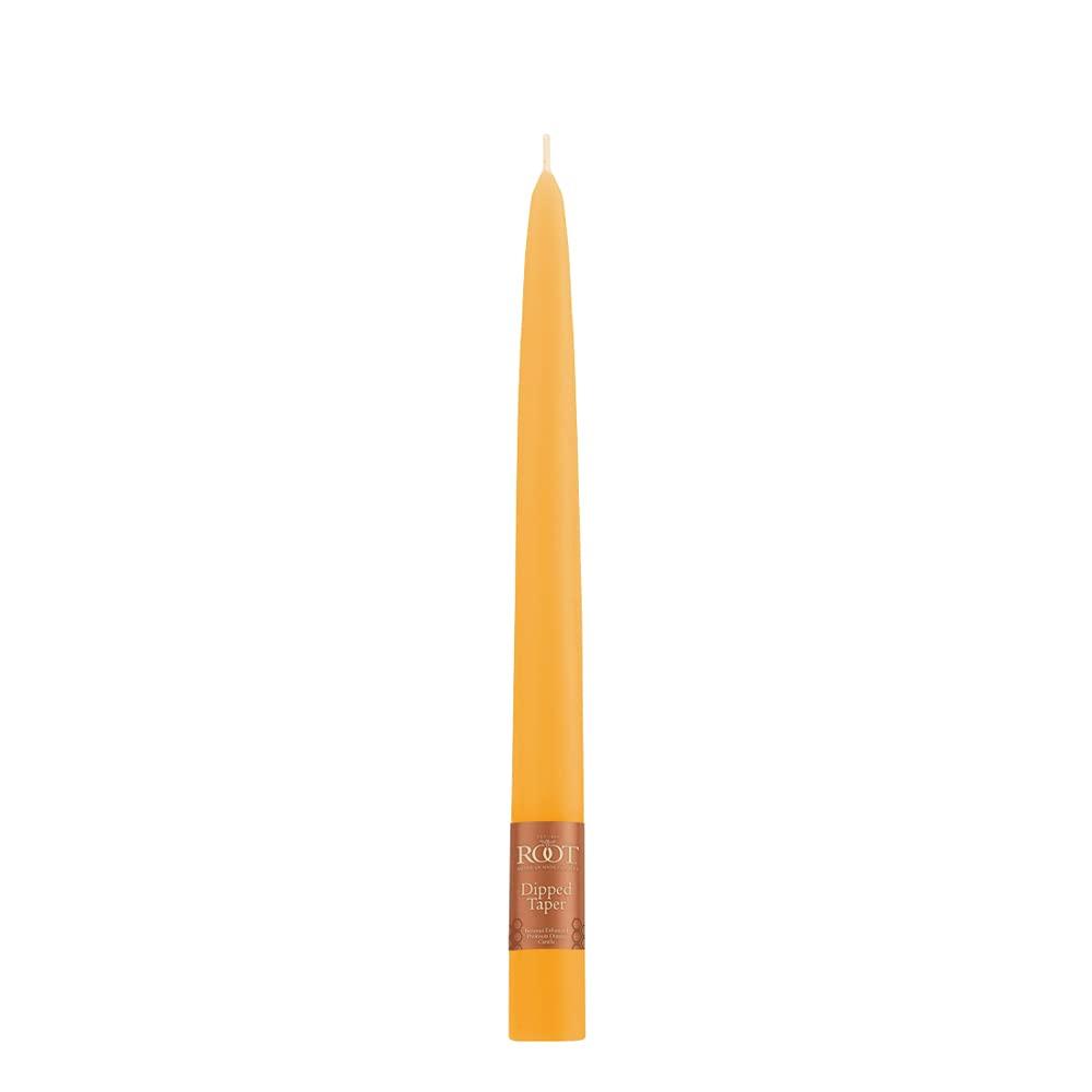 12 Piece Unscented Taper Candle Set