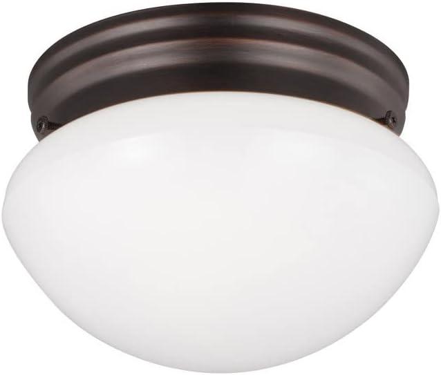 Webster 1-Light White Flush Mount with LED Bulb