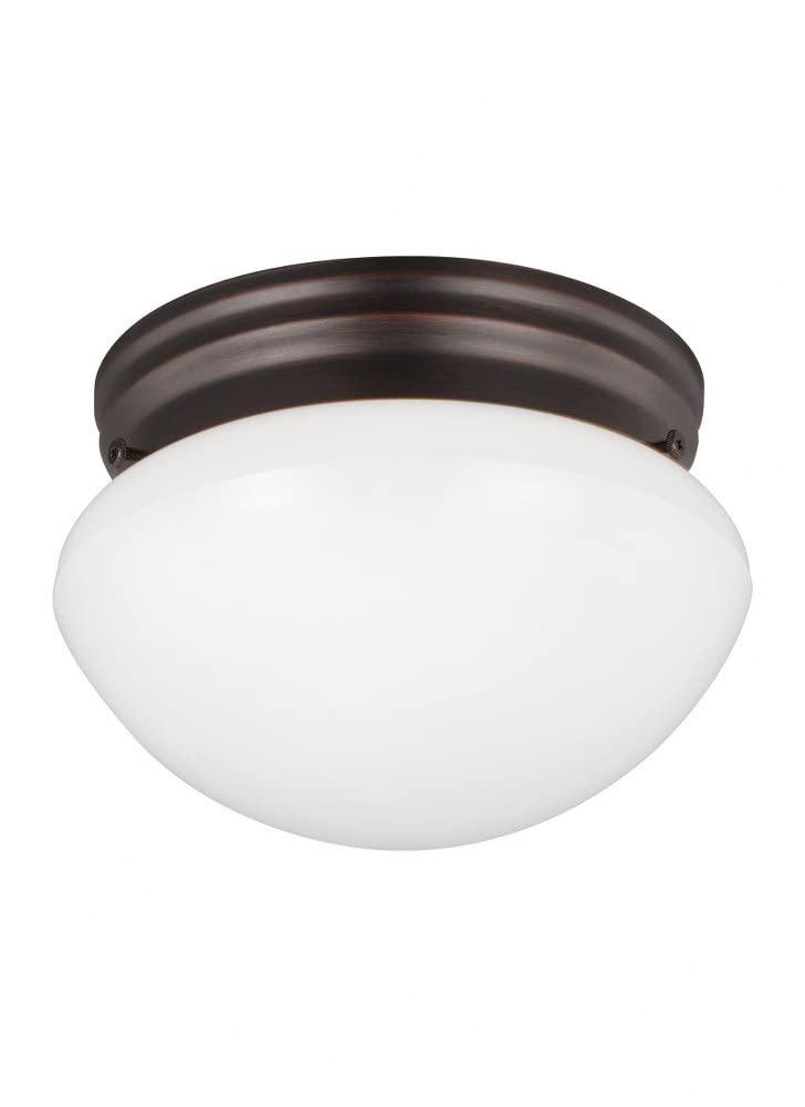Webster 1-Light White Flush Mount with LED Bulb