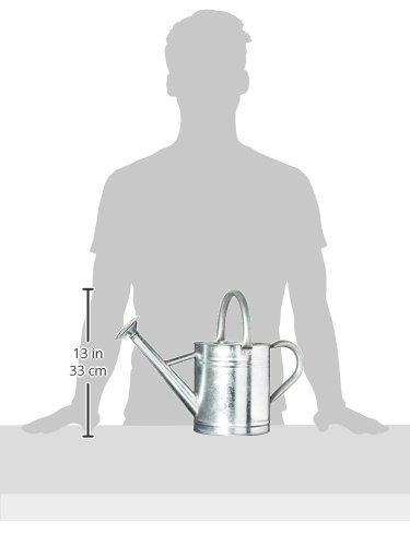 Gardener's Select Classic Metal Gardening Watering Can, Silver, 0.92 Gallon